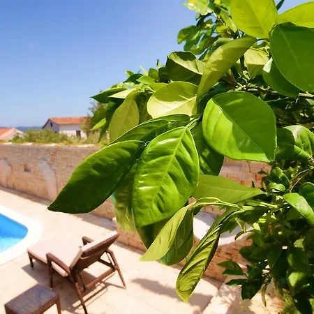 Kos * Μούρτερ